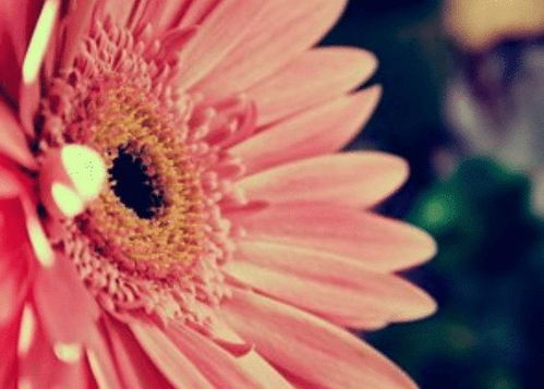 手机拍照技巧：透明胶带+放大镜