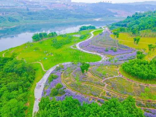 台湾高雄市林园区：历史与自然的交融