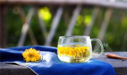菊花茶能天天喝吗？这几种人可不能天天喝