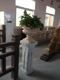 珊瑚石盆景：冬天里的雪景