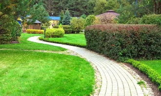 重点来了：专家说的低维护草皮