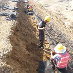 沿海地区侵蚀防护的13种生态护坡技术解析