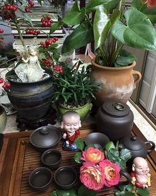 如何养护剪下的花，延长观赏期的小秘密