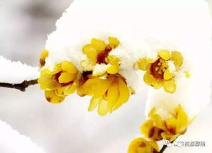 动手粘贴的乐趣