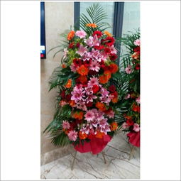 一、小区绿化的大概花费