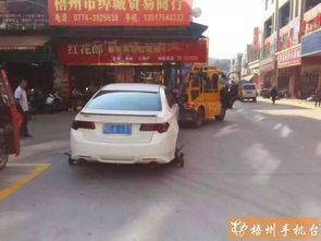 三、私自投放农药，会受到怎样的处罚？