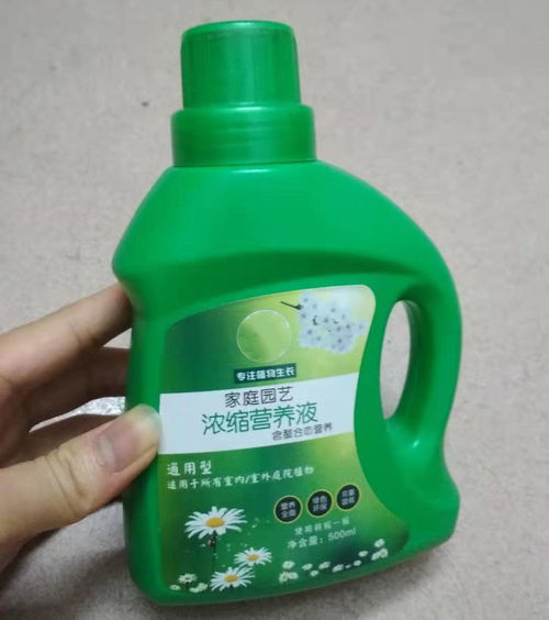 散尾葵喜水，专用营养液浇灌更佳