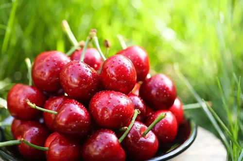 上周帮粉丝鉴定了批种子：某平台标价35元的