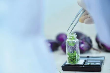 血液里农药残留，咋办？