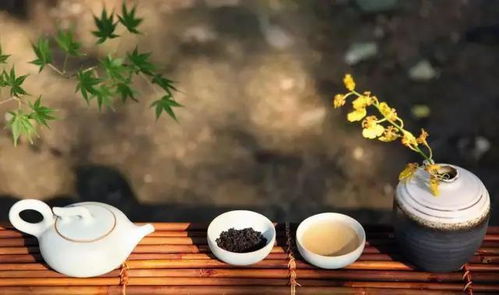 茶，源于东方