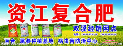 资江复合肥厂， 听起来就厉害