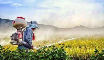 农药的名字， 听起来dou好奇怪