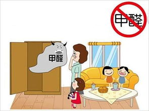 去甲醛， 通风是王道