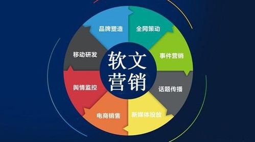 研发团队：优化产品， 拓展市场