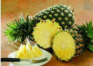 三、阳光的拥抱