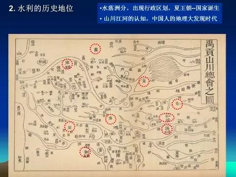 探索丝棉树：形态、分布与文化价值