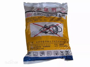 溴敌隆：那神秘而强大的灭鼠英雄