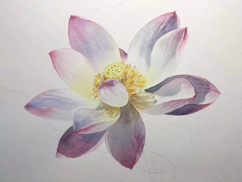 剪裁技巧大揭秘