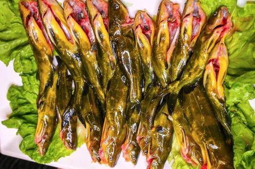 钓黄辣丁打窝，选用腥香型饵料
