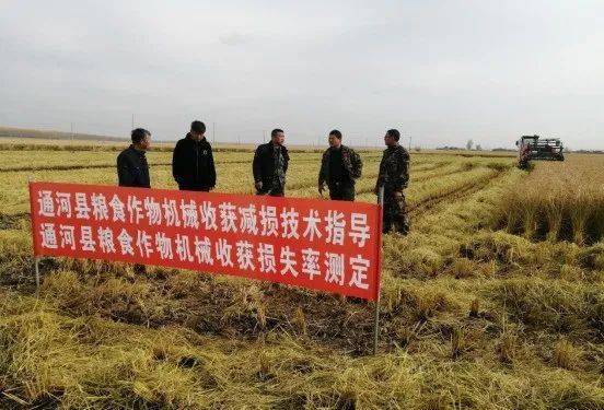 茶油树种植指南：掌握贵太太茶油基地的专业技巧，轻松收获健康油源！