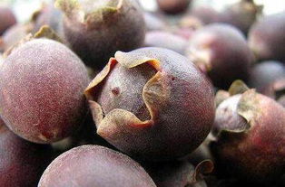 有哪些食用方法？