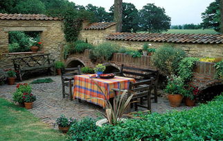 实用篇：既美观又实用的好树木