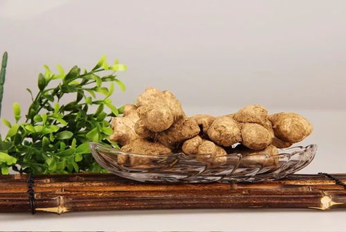 水分篇：保持湿润的秘密