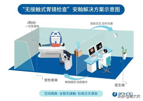 智能化无针免疫技术如何改变养猪生产