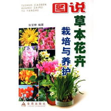 草本花卉——你了解多少？