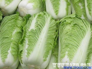 大白菜，你咋这么“绿”啊？