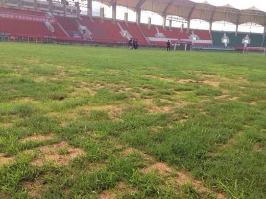 冬季铺草皮，有讲究