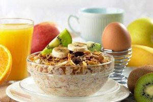 鸽子吃天然草本类食物有哪些？