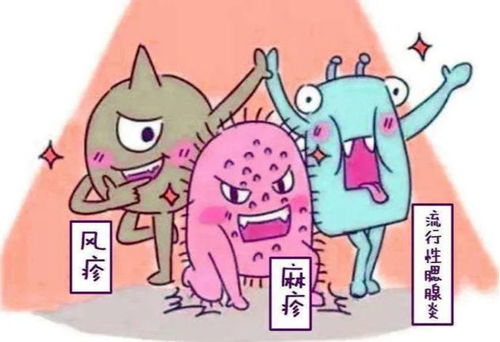 减毒疫苗强化黏膜免疫，畜牧养殖新策略