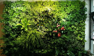 绿植围墙：者阝市生活中的宁静之源