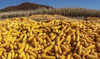 应对异常情况的小窍门