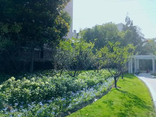 灌溉系统维护：确保设施正常工作