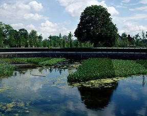 一、 阿姆斯特丹大学景观设计学院