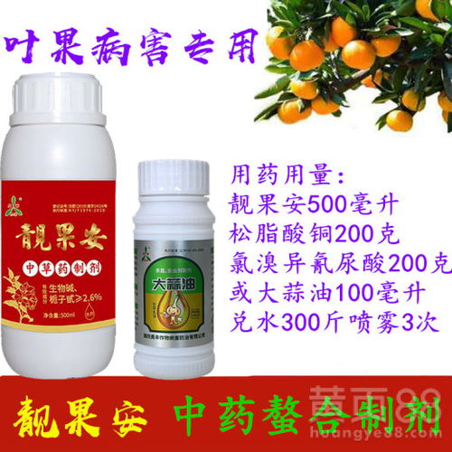防治芒果炭疽病，喷药有技巧