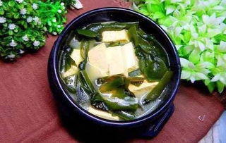 豆腐菜在哪个月份种植最合适？什么时候是种植豆腐菜的最佳时期