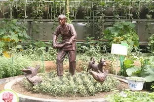 农业景观，辛勤劳作的印记