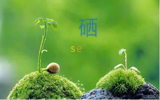 植物传播方式有哪些？常见的传播途径都有哪些