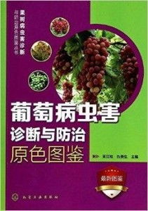 1. 症状对比