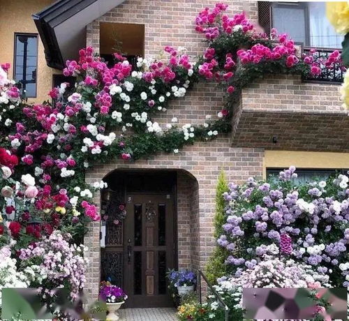 秋季植树规格与春季相同