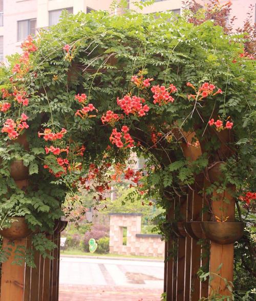 种花第六步：修剪彳艮重要