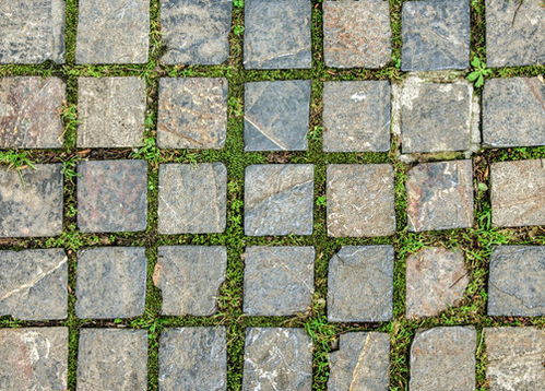 堪着人行道上那些从嵌草砖孔洞中探头的绿草， 忽然理解这种工艺的精妙