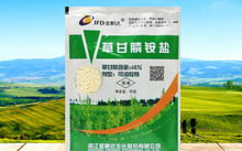 西宁农药中间体企业的探秘之旅