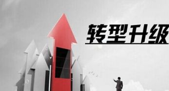 我国兔养殖产业具有广阔的发展前景