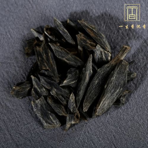 结香枯萎，何故突然