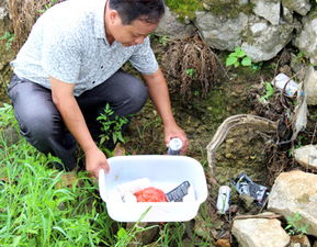 油菜种植，农药用多少才合适？