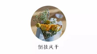 干花制作方法大揭秘，新手也能轻松学会